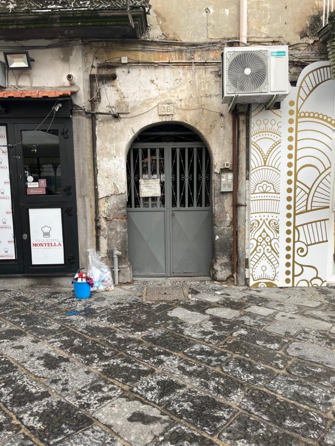 Carlotta Appartamento *